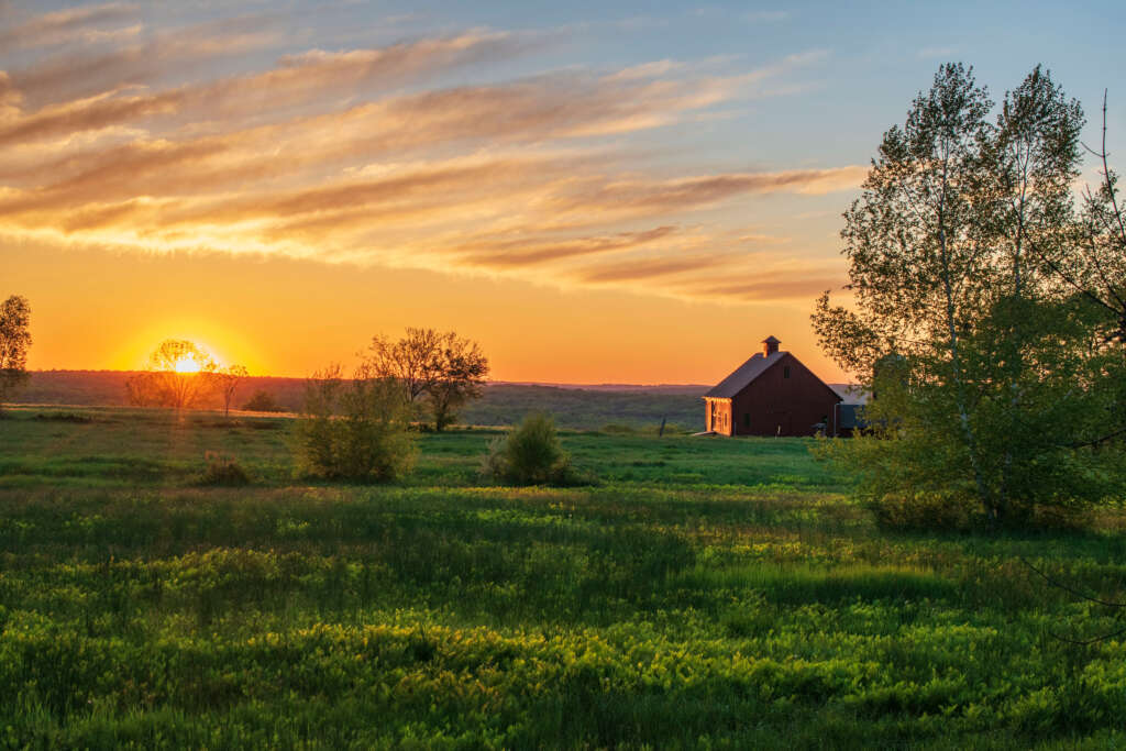 750-best-farm-names-and-ideas-for-your-business-nichehacks