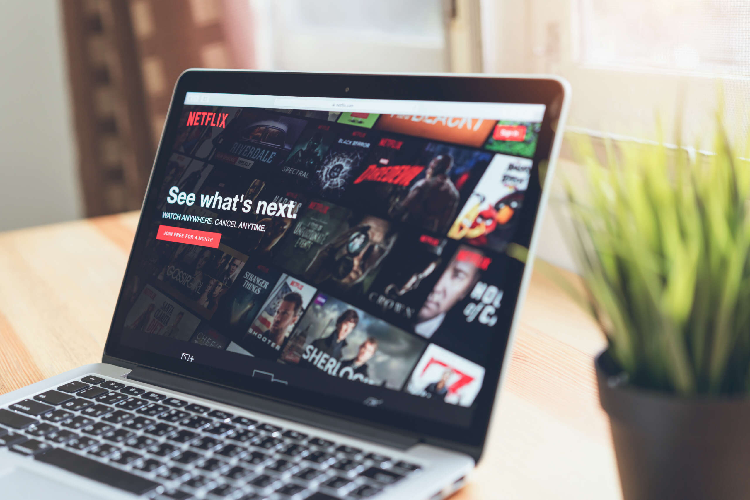 Netflix Movie Reviewer Job