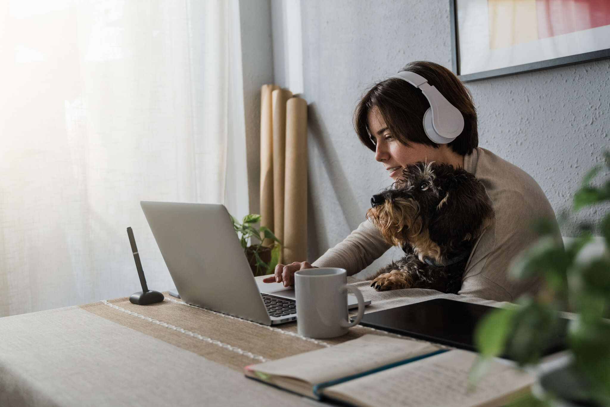 25 Best Jobs for Introverts Based On Skill & Interest - Nichehacks
