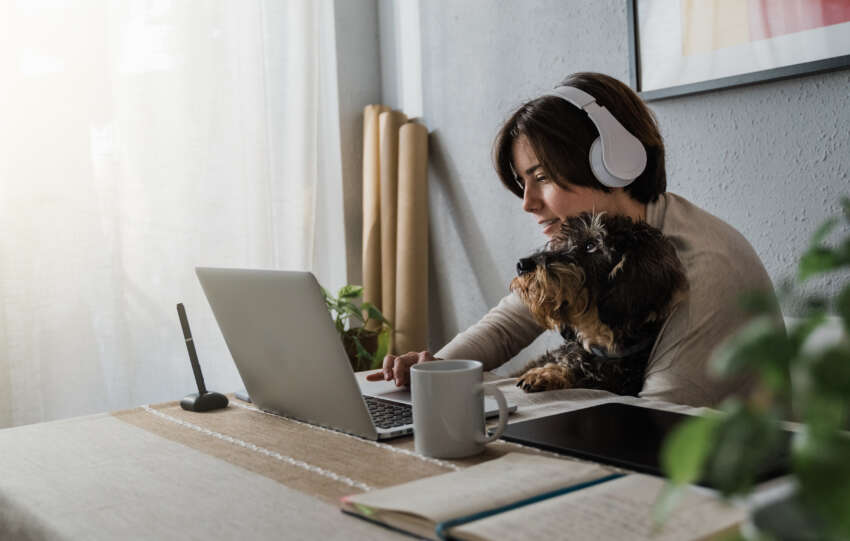 Best Jobs for Introverts